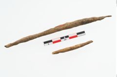 Foto von Beinspitze (NHMW-PRAE-003462)